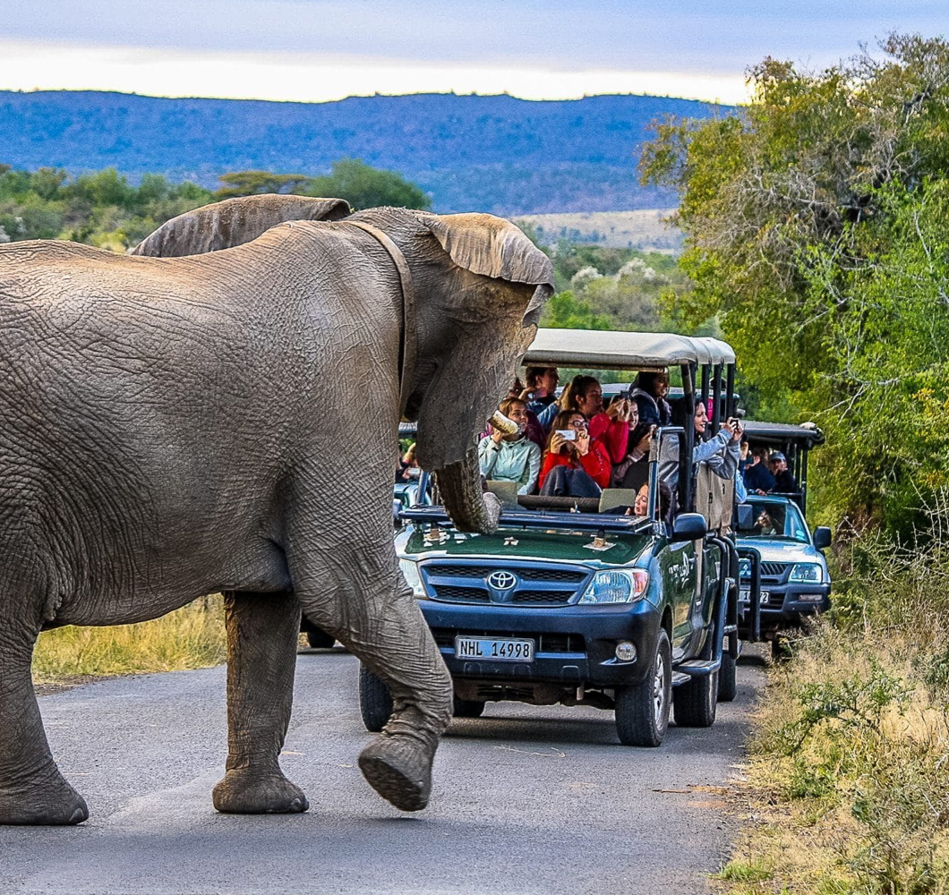 safari trip all inclusive